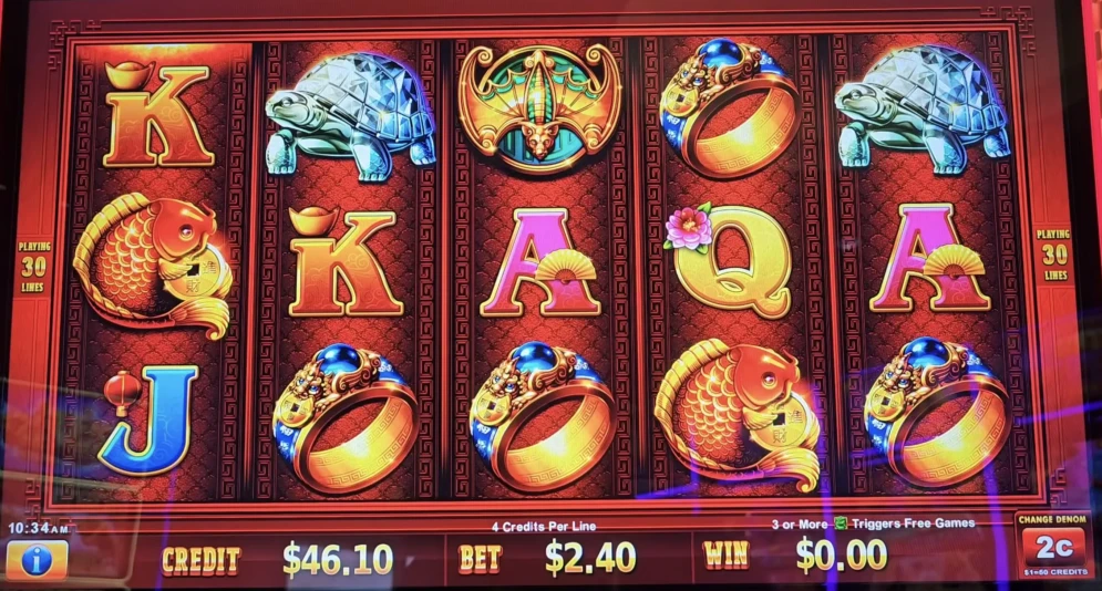 Dragon Train Chi Lin Wins